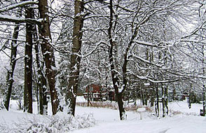 winter-sm.jpg